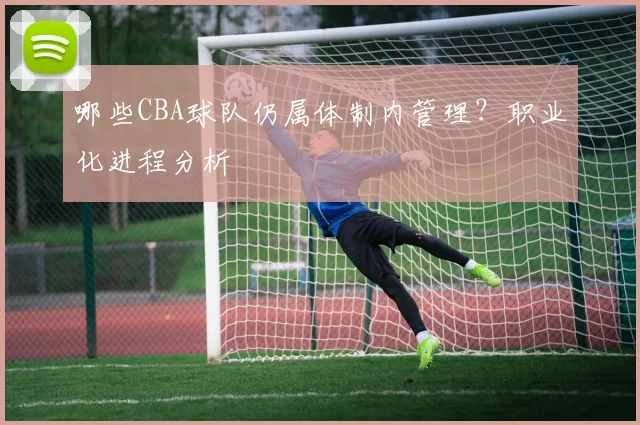 哪些CBA球队仍属体制内管理？职业化进程分析