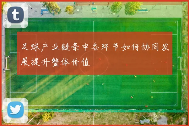 足球产业链条中各环节如何协同发展提升整体价值
